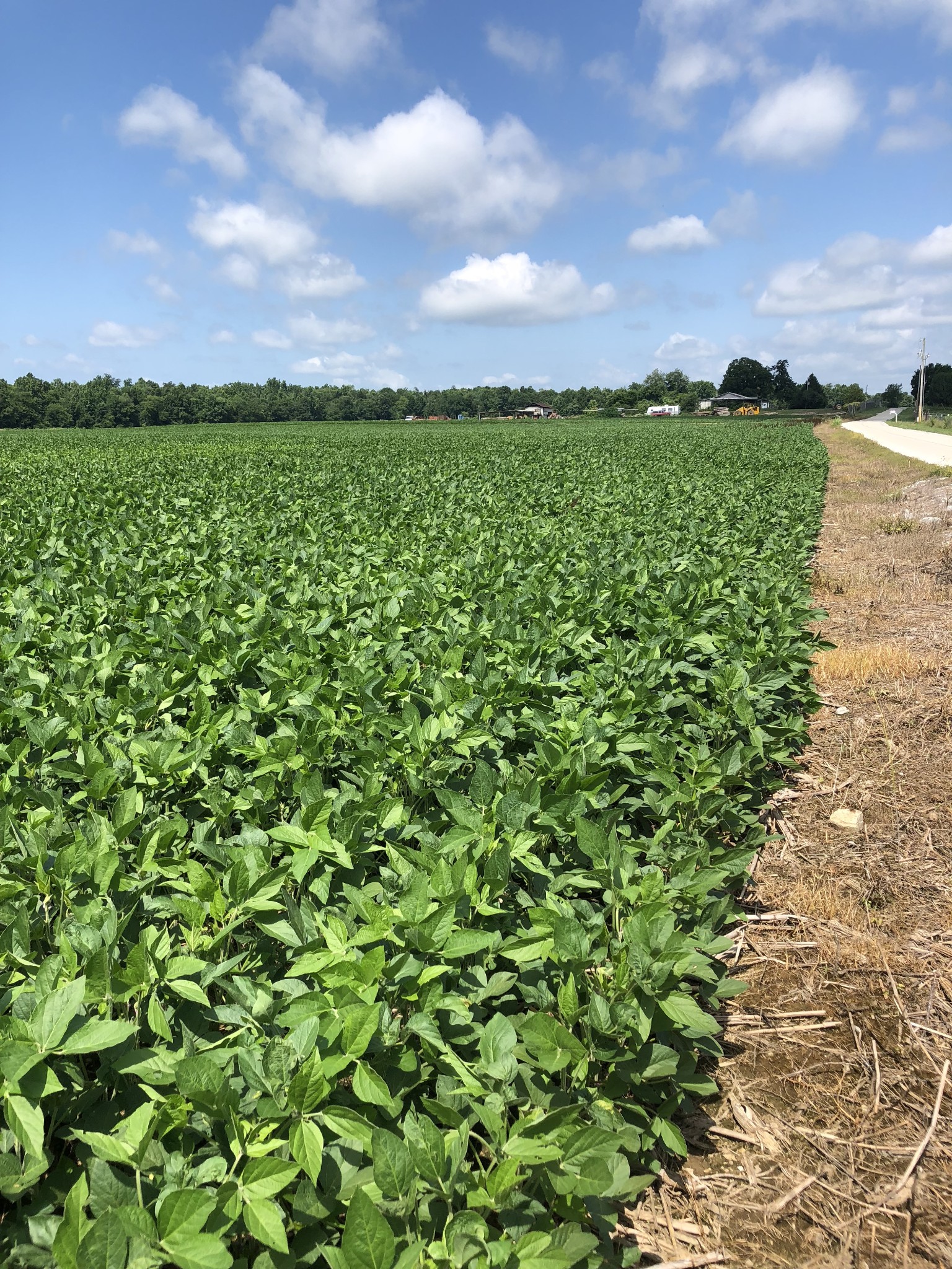 0 Duncan Street Manchester, TN 37355 - Photo 3 of 14 a view of a lake with a house in the background