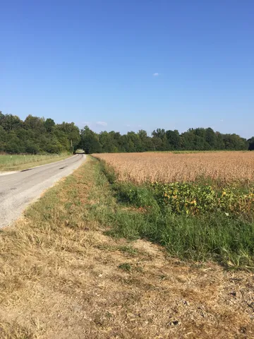 a view of a lake with lots of trees