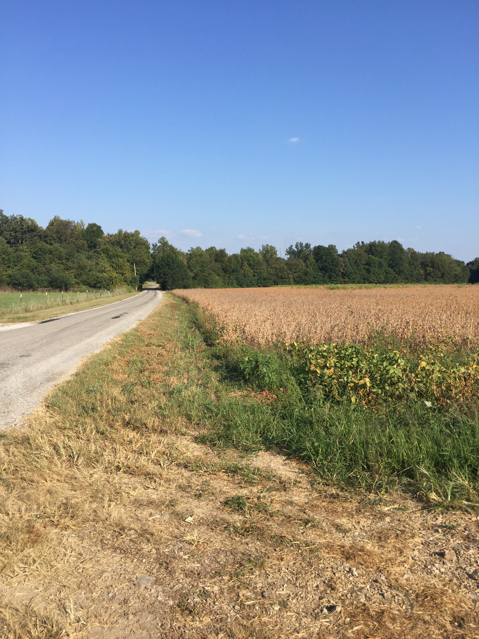 0 Duncan Street Manchester, TN 37355 - Photo 4 of 14 a view of lake with mountain