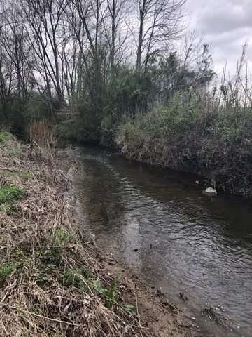 a view of lake with green space
