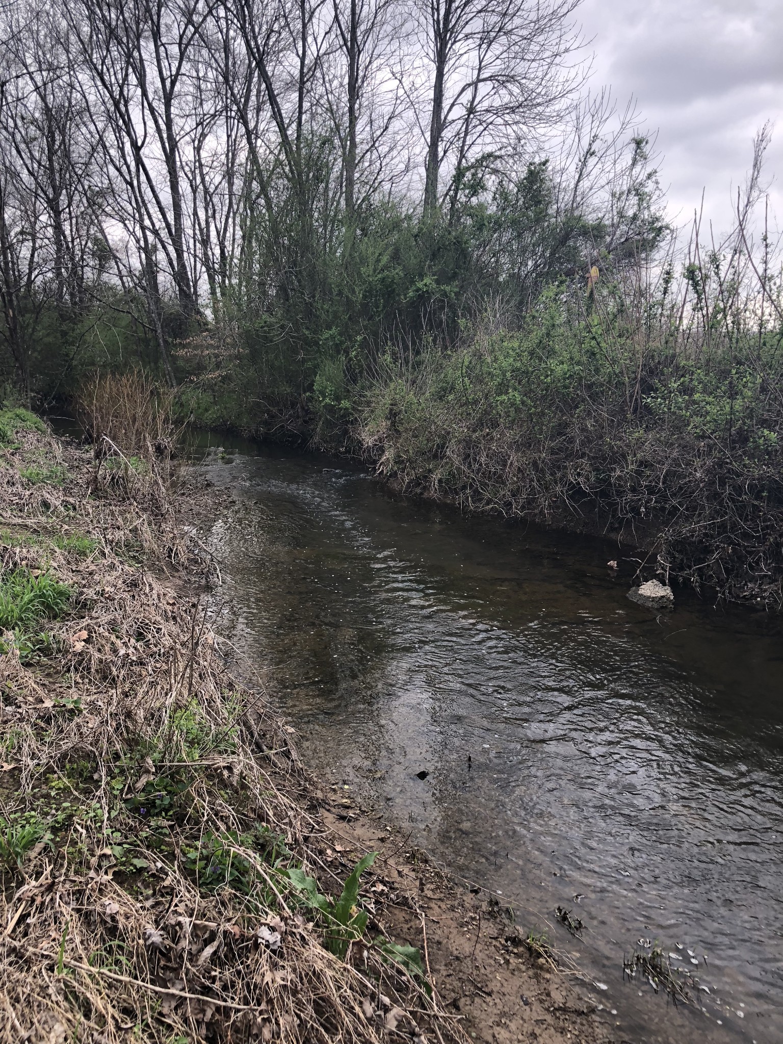 0 Duncan Street Manchester, TN 37355 - Photo 5 of 14 a view of a lake with lots of trees