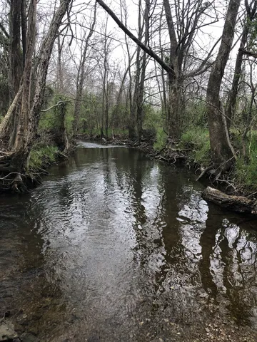 a body of water with a tree in the background