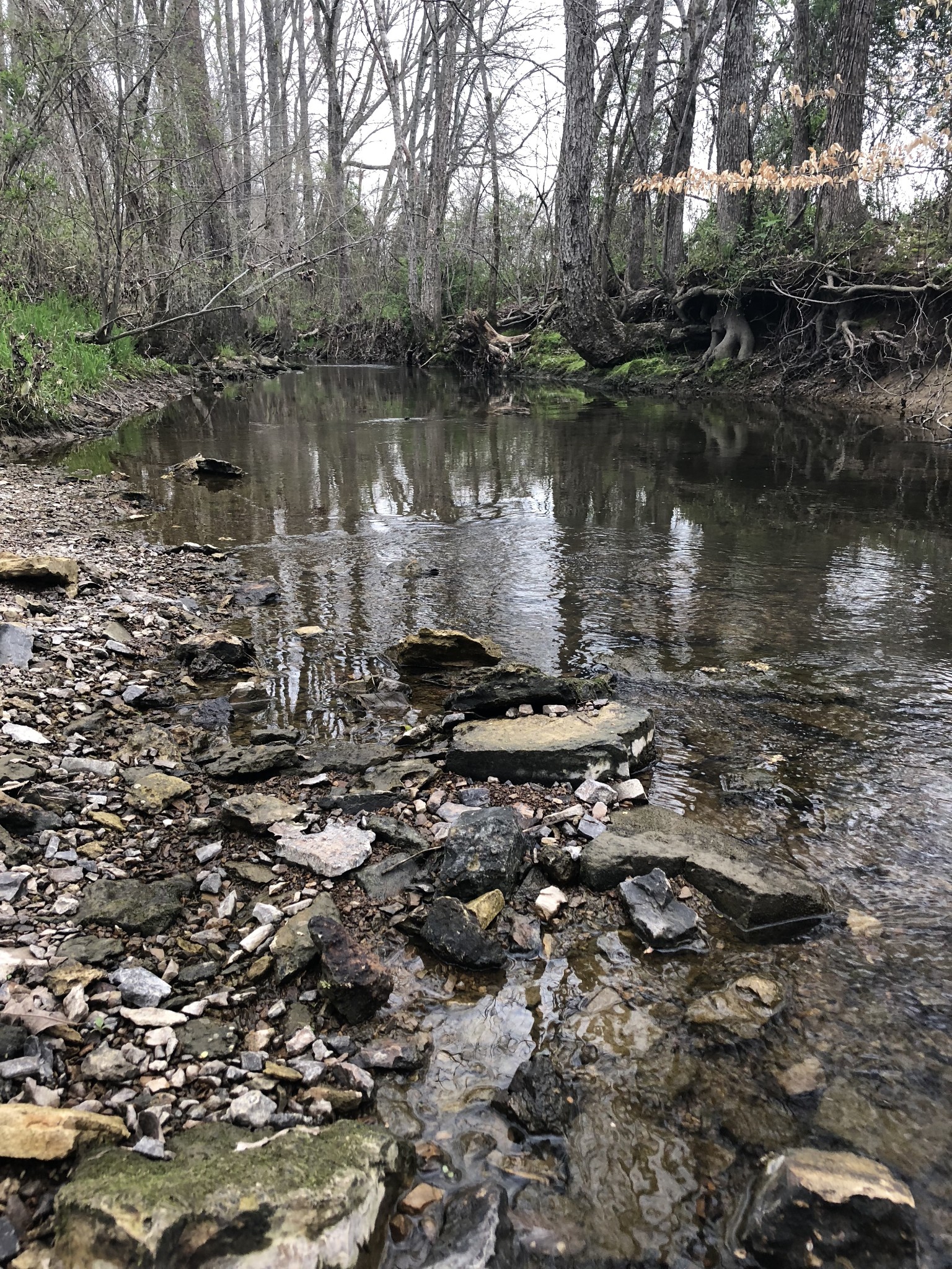0 Duncan Street Manchester, TN 37355 - Photo 7 of 14 a body of water with a tree in the background