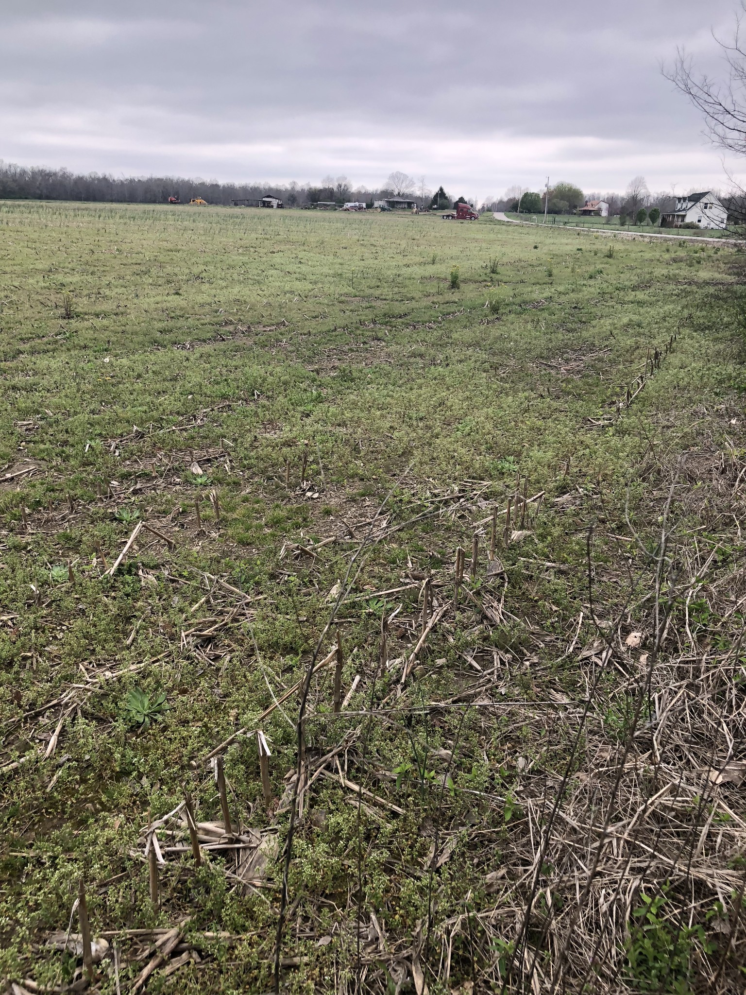 0 Duncan Street Manchester, TN 37355 - Photo 8 of 14 a view of a field with an ocean and trees