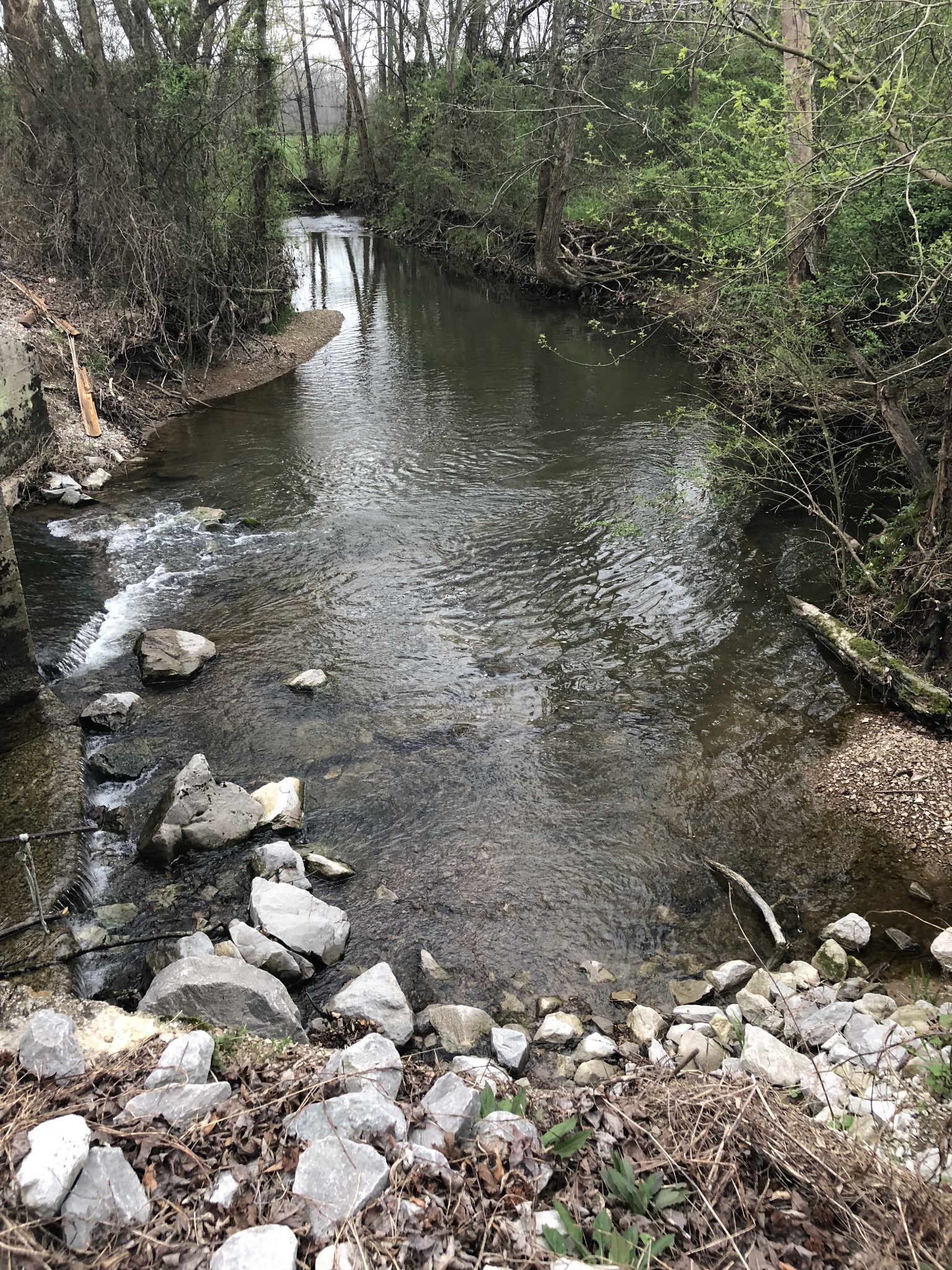 0 Duncan Street Manchester, TN 37355 - Photo 9 of 14 a view of lake with green space