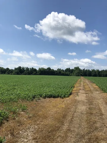 a view of a lake with a yard