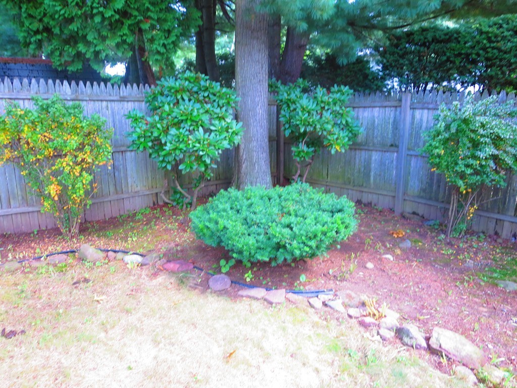 45 Hadley Street Springfield, MA 01118 - Photo 19 of 21 a view of a backyard with potted plants and wooden fence