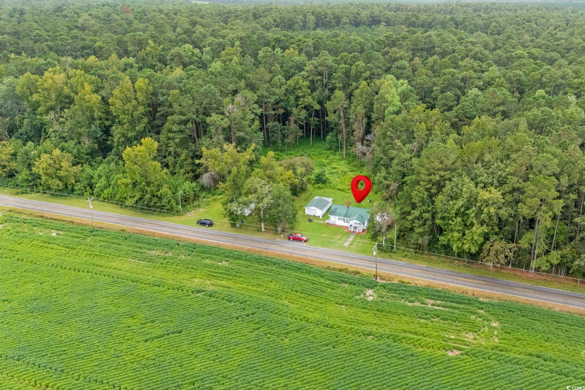 2475 Beverly Road Conway, SC 29527 - Photo 33 of 34 Overview of rural landscape featuring a heavily wooded area