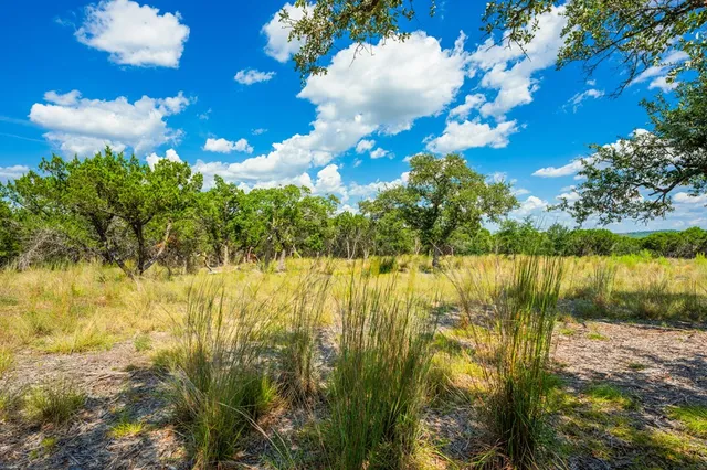 a view of a city with lush green forest