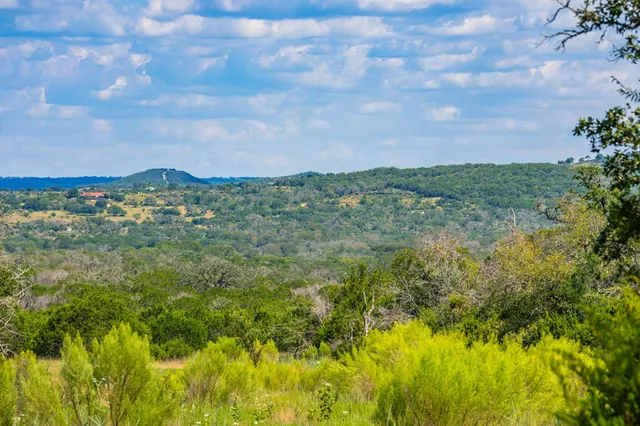 a view of a lake and a yard