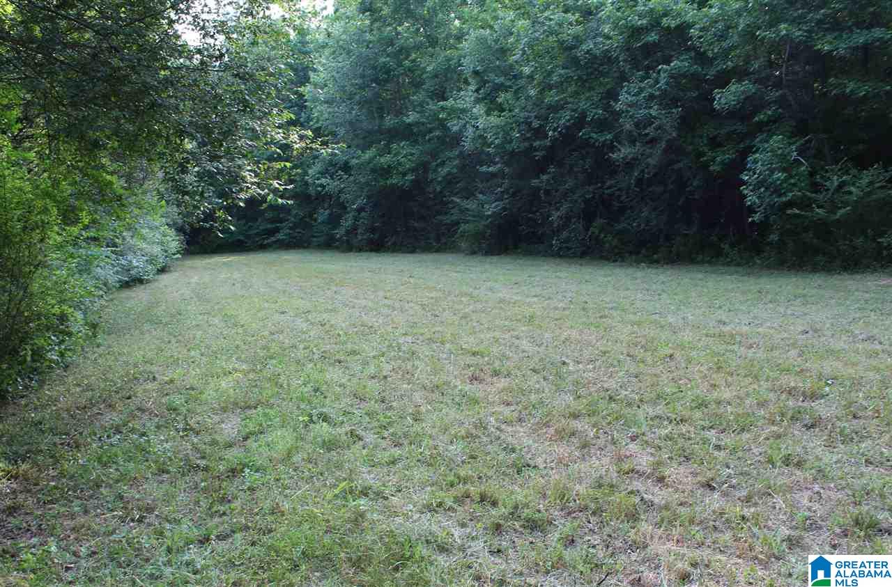 0 County Road 852 Bremen, AL 35033 - Photo 10 of 11