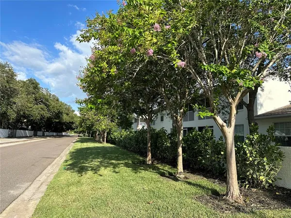 a view of yard with flowers and trees