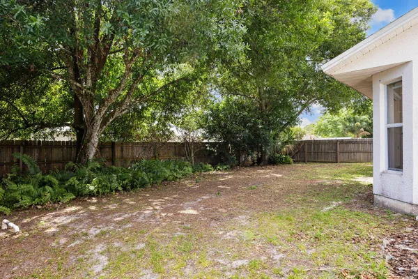 a backyard of a house with plants and large tree