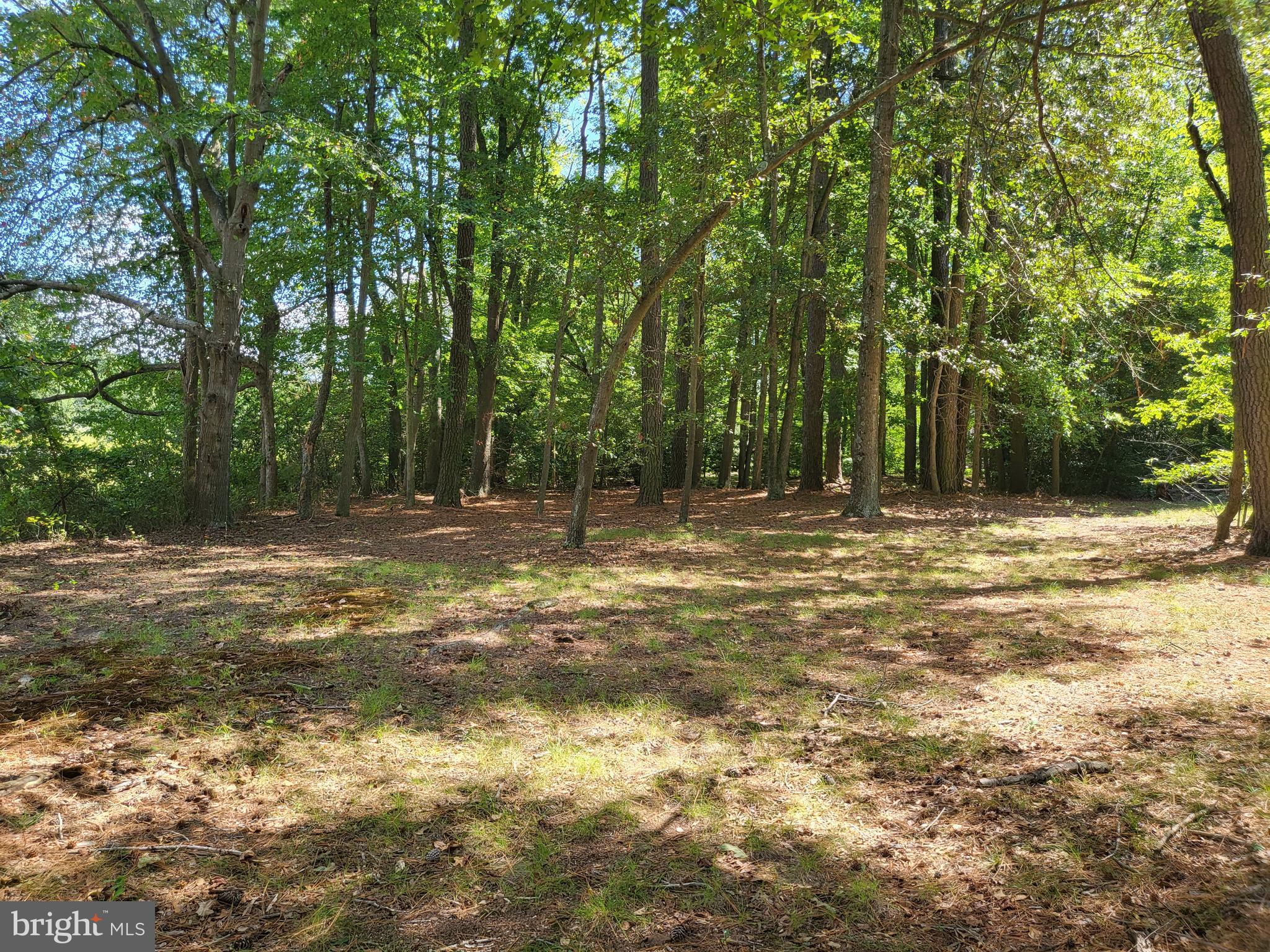 5652 Mt Holly Road East New Market, MD 21631 - Photo 11 of 14