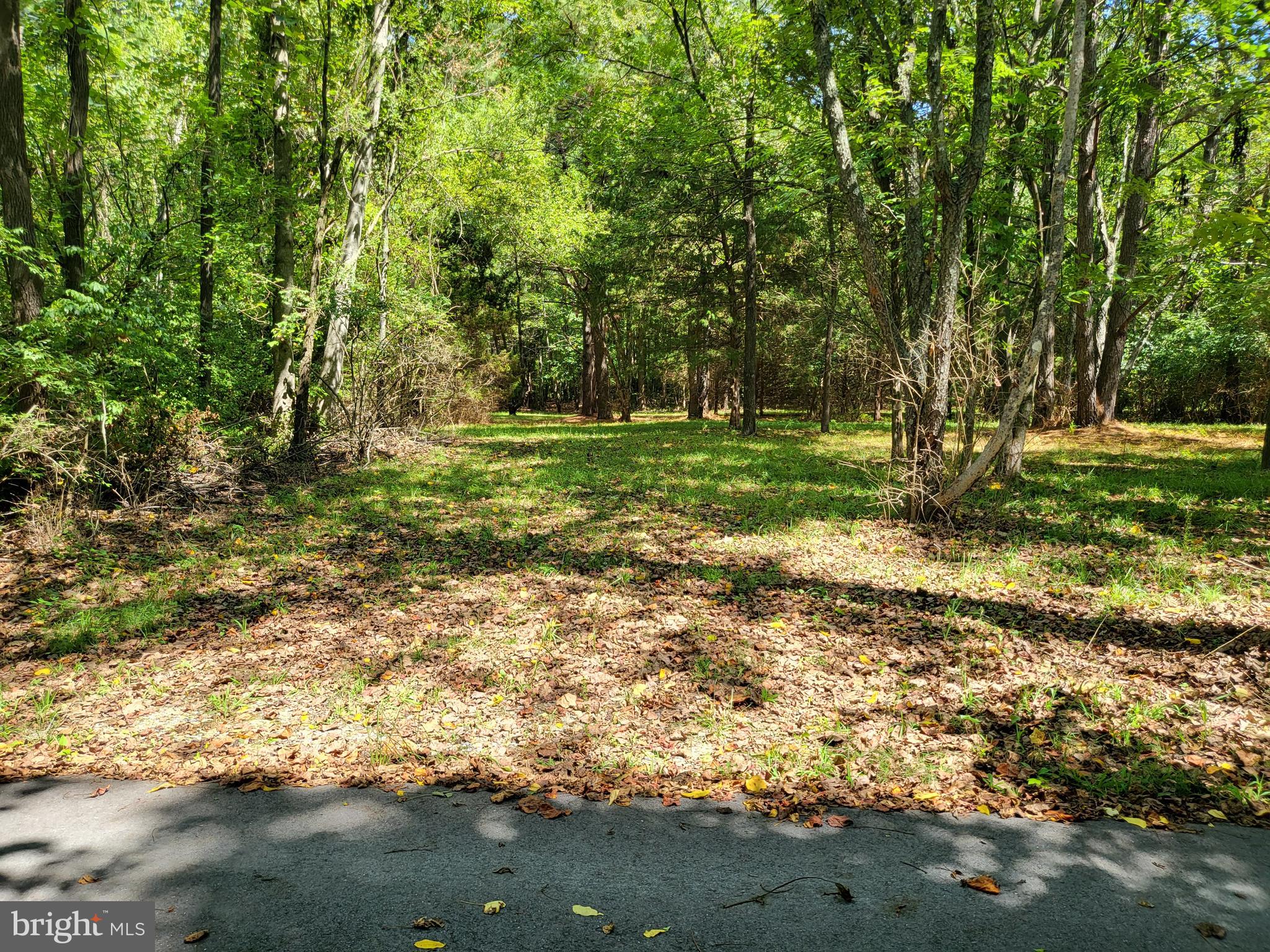 5652 Mt Holly Road East New Market, MD 21631 - Photo 2 of 14