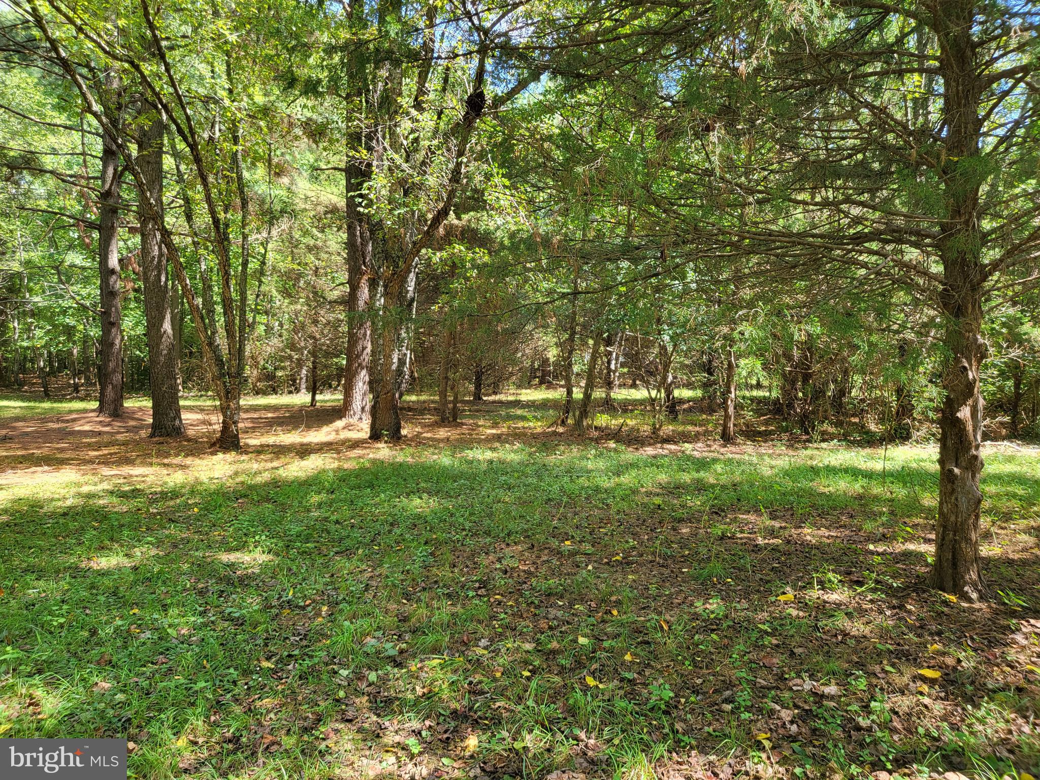 5652 Mt Holly Road East New Market, MD 21631 - Photo 3 of 14