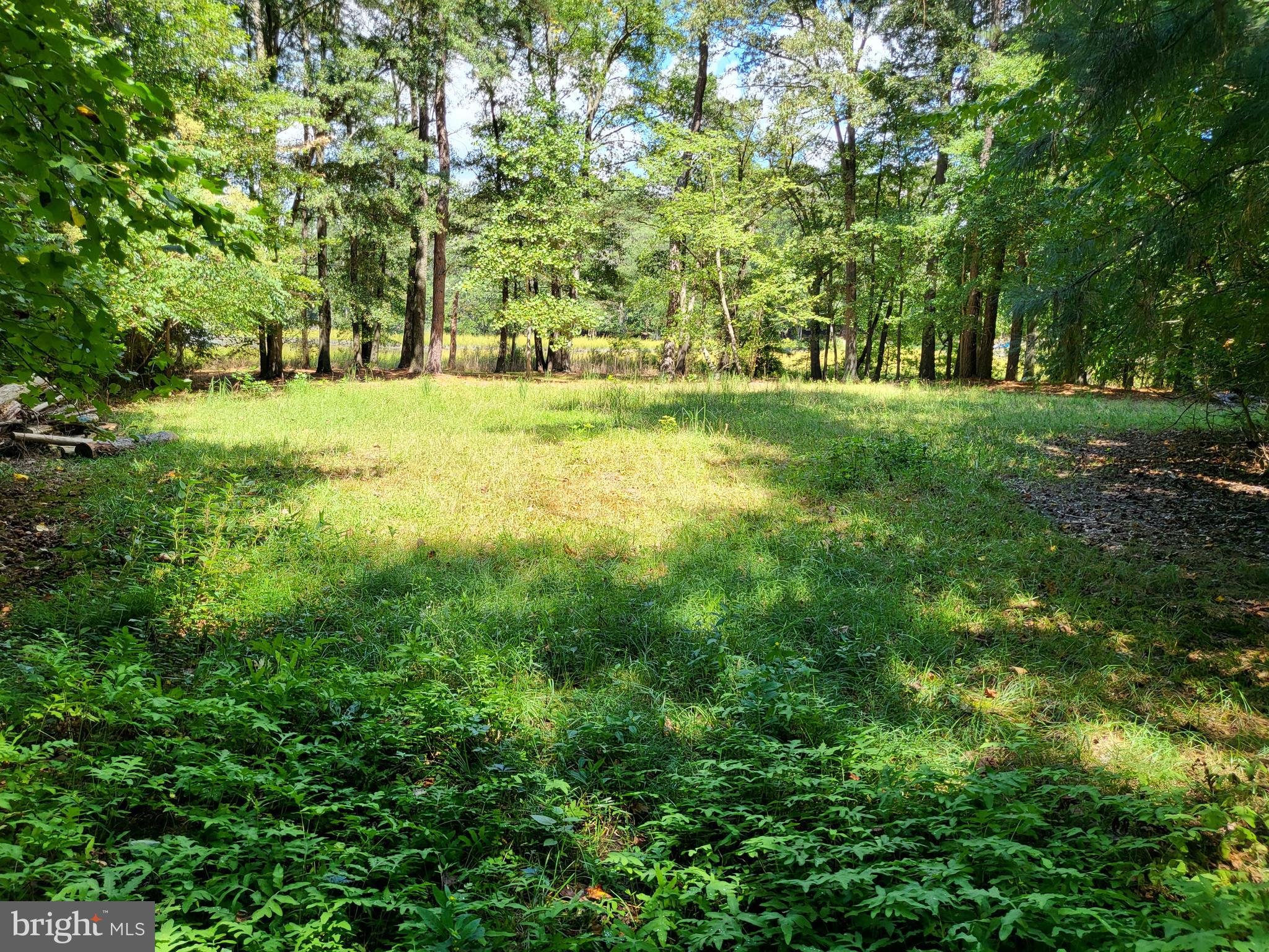 5652 Mt Holly Road East New Market, MD 21631 - Photo 8 of 14
