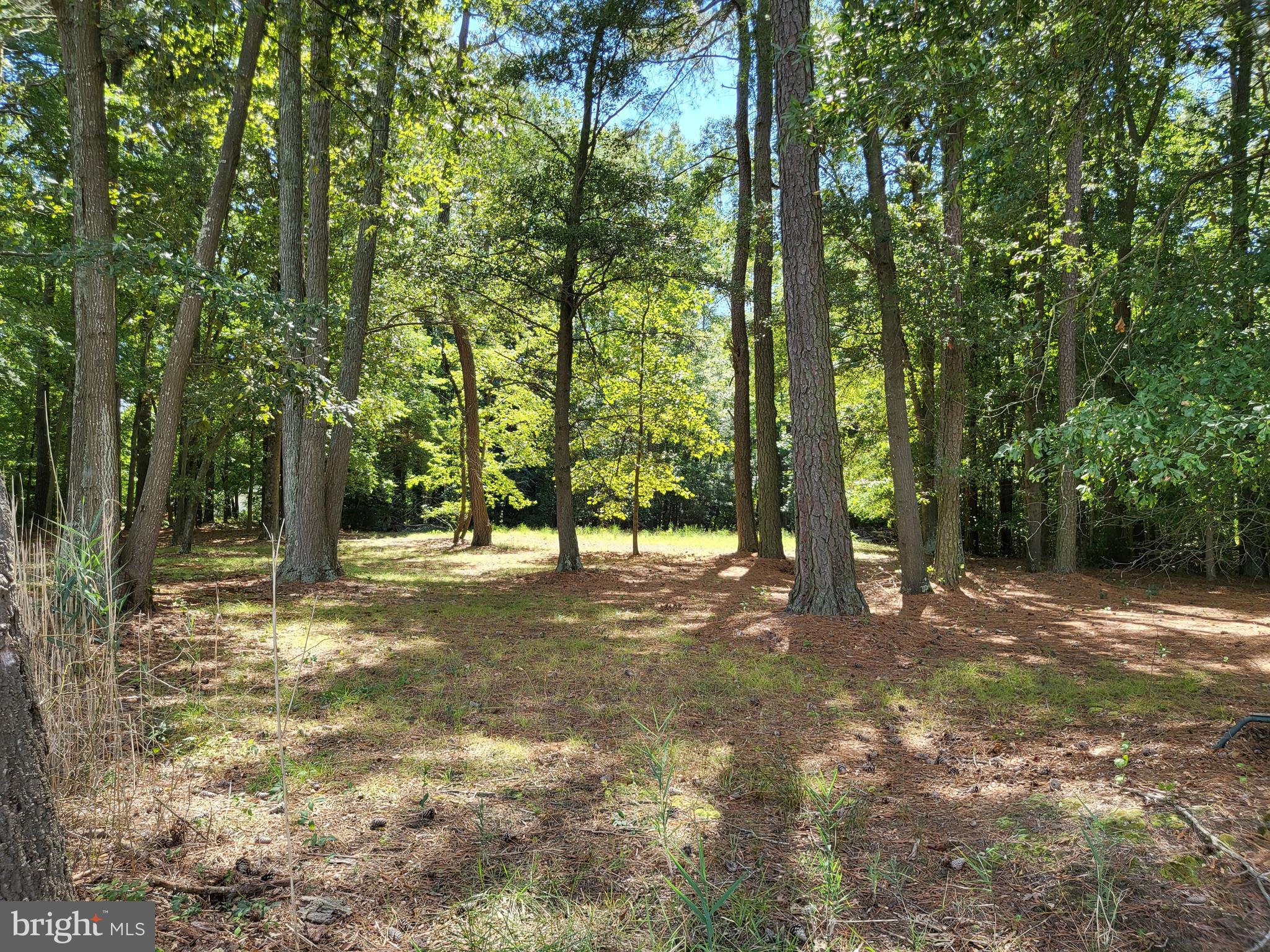 5652 Mt Holly Road East New Market, MD 21631 - Photo 10 of 14