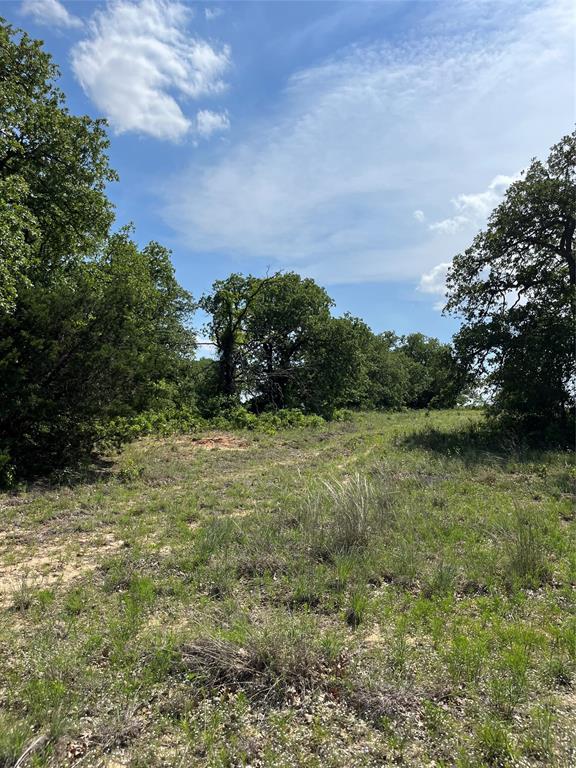 Lot 12 Clare Road Poolville, TX 76487 - Photo 1 of 5