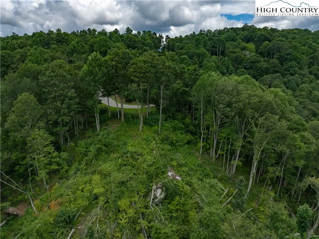 a backyard of a house with lots of green space and a fountain