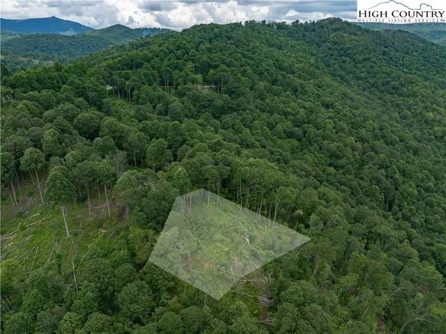a view of a green field with lots of bushes