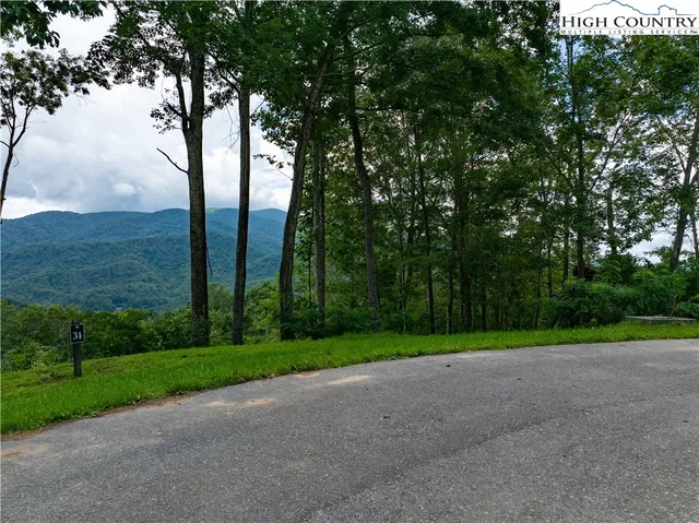 a view of a field with a large trees