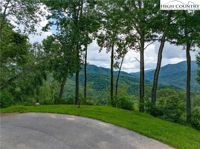 a view of a yard with a large trees