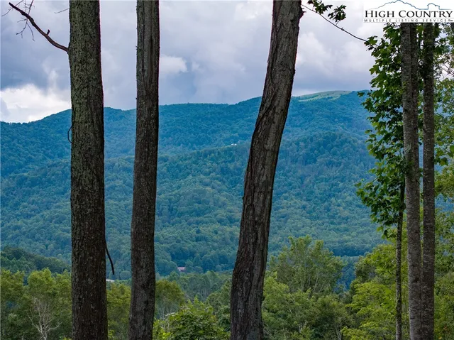 a view of a from a window