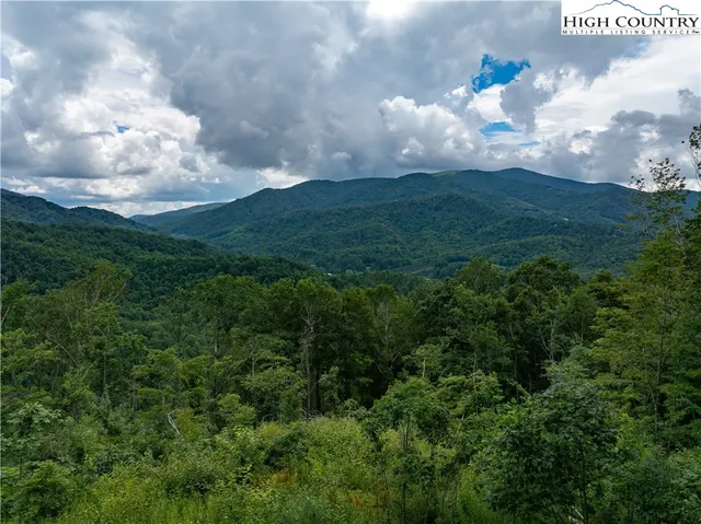 a view of a big yard