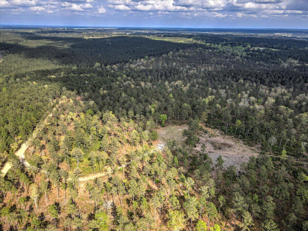 0 Deer Run Road, Unit E Williston, SC 29853 - Photo 12 of 15