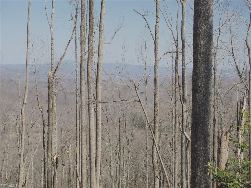 59 Cook School Road Pilot Mountain, NC 27041 - Photo 1 of 15 Gallery Image 1