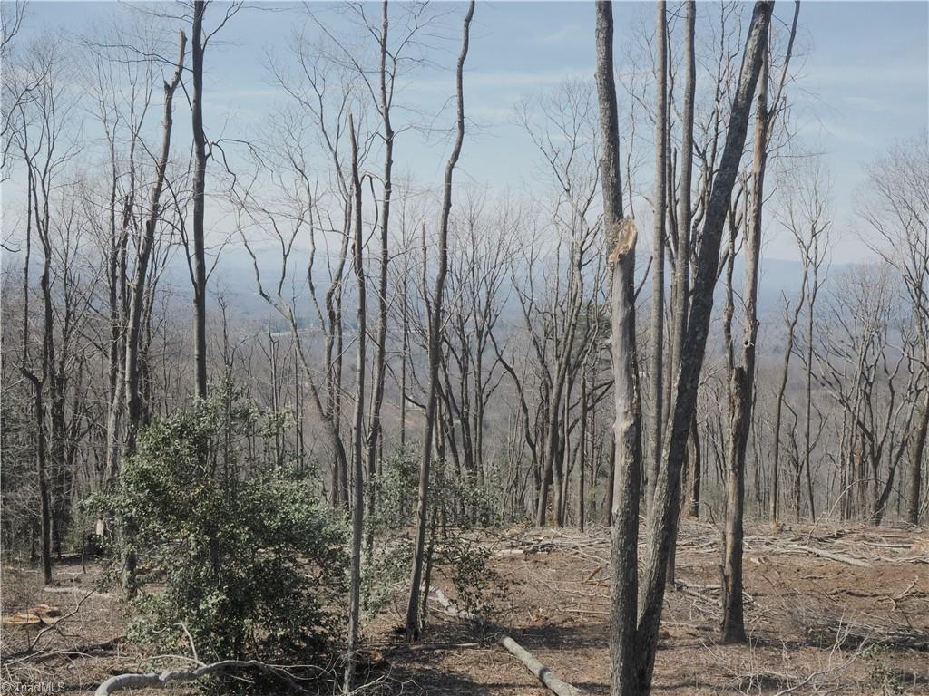 59 Cook School Road Pilot Mountain, NC 27041 - Photo 2 of 15 Gallery Image 2