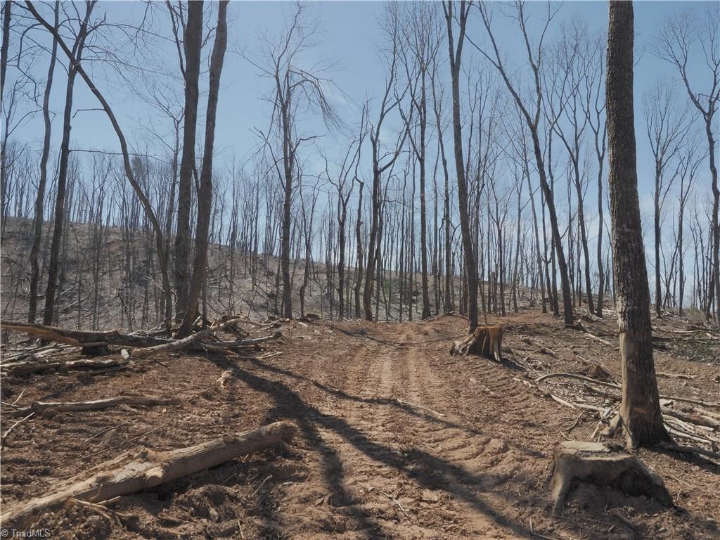 59 Cook School Road Pilot Mountain, NC 27041 - Photo 11 of 15 Gallery Image 11