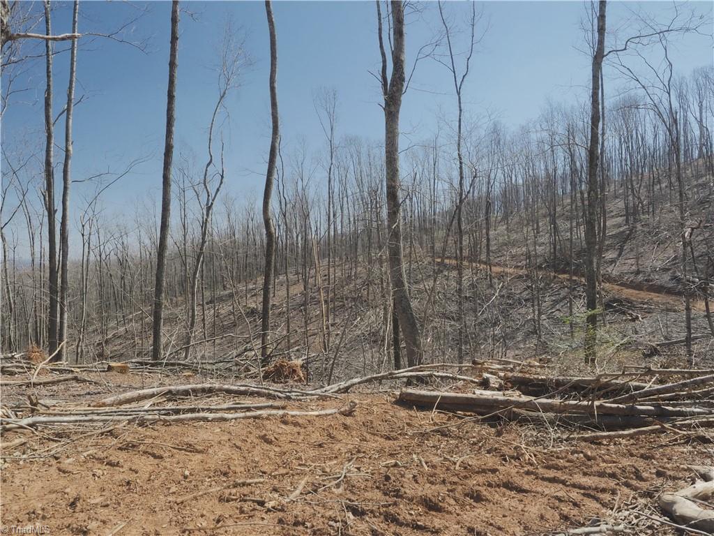 59 Cook School Road Pilot Mountain, NC 27041 - Photo 12 of 15 Gallery Image 12