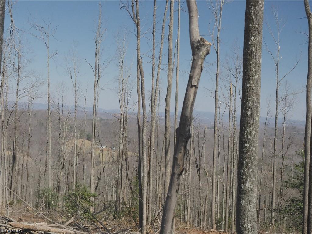 59 Cook School Road Pilot Mountain, NC 27041 - Photo 13 of 15 Gallery Image 13