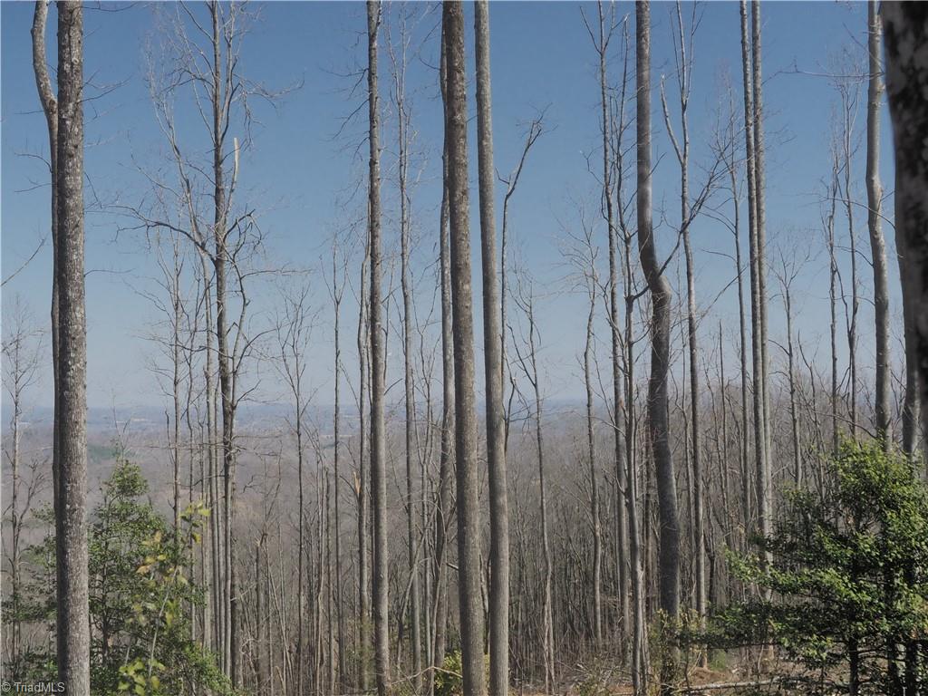 59 Cook School Road Pilot Mountain, NC 27041 - Photo 14 of 15 Gallery Image 14