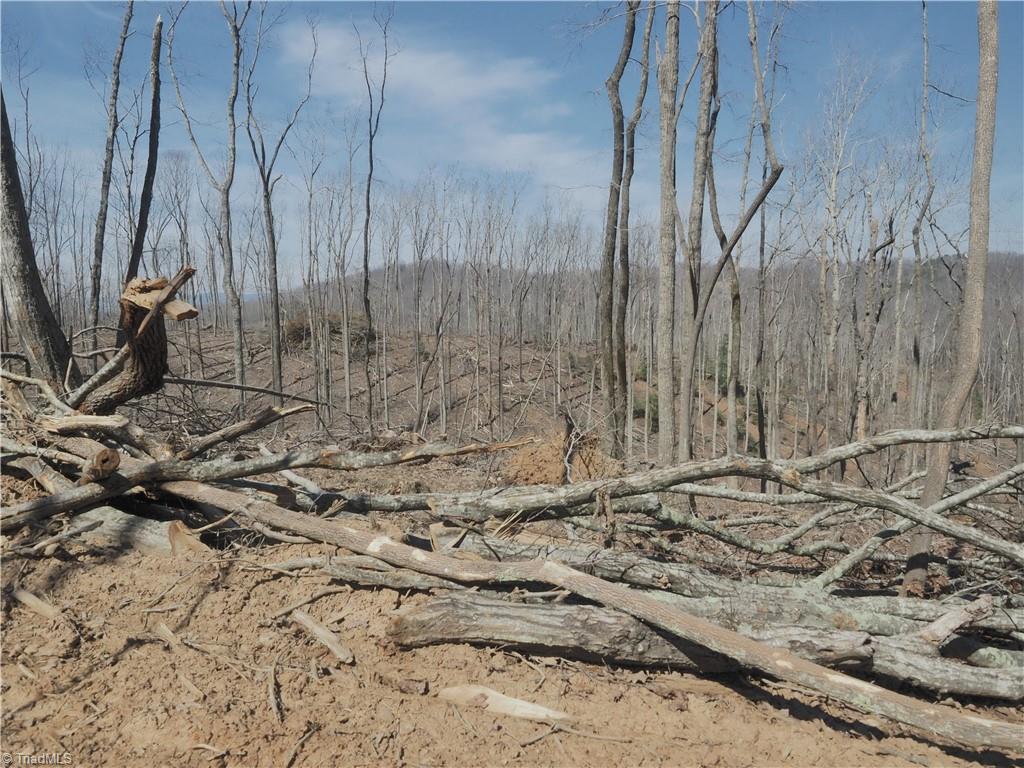 59 Cook School Road Pilot Mountain, NC 27041 - Photo 15 of 15 Gallery Image 15