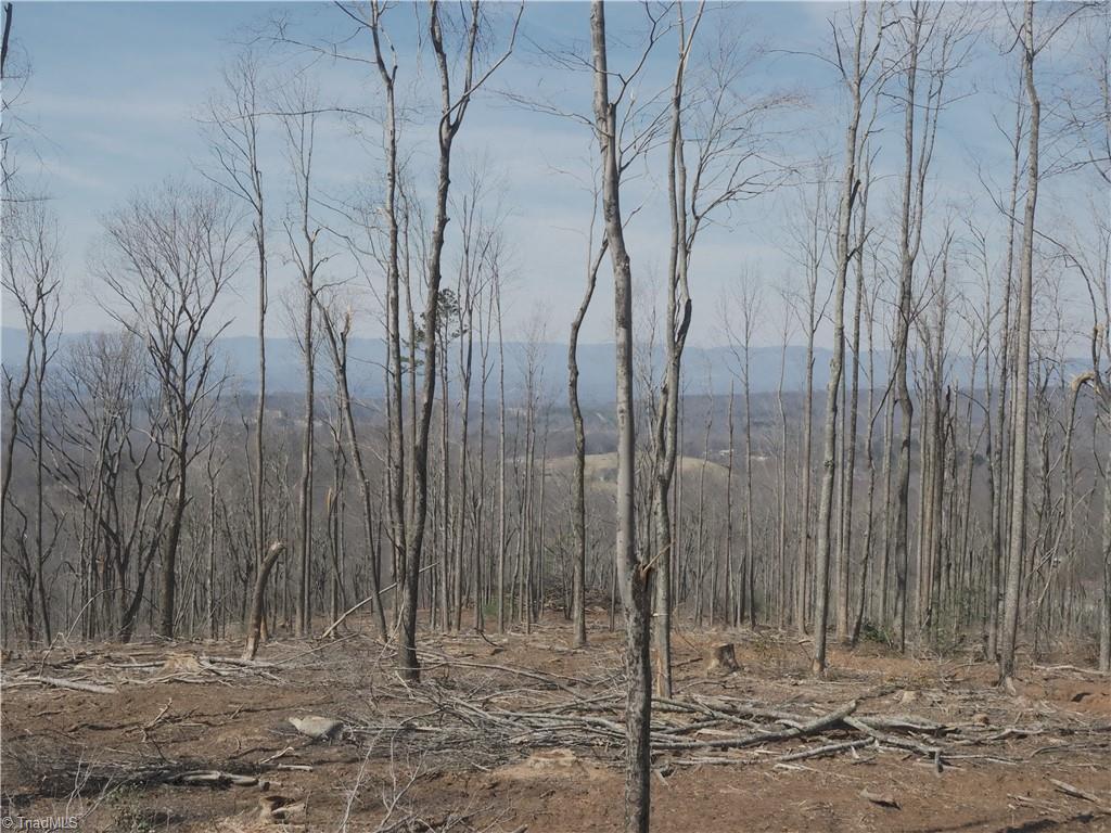 59 Cook School Road Pilot Mountain, NC 27041 - Photo 3 of 15 Gallery Image 3