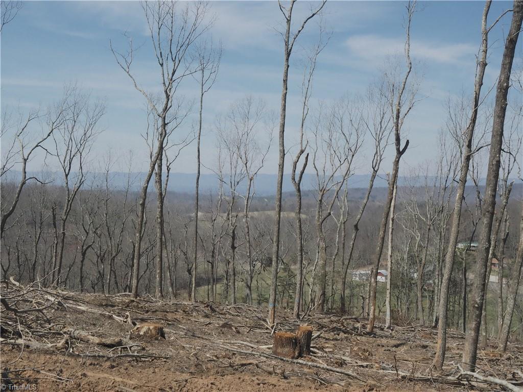 59 Cook School Road Pilot Mountain, NC 27041 - Photo 4 of 15 Gallery Image 4