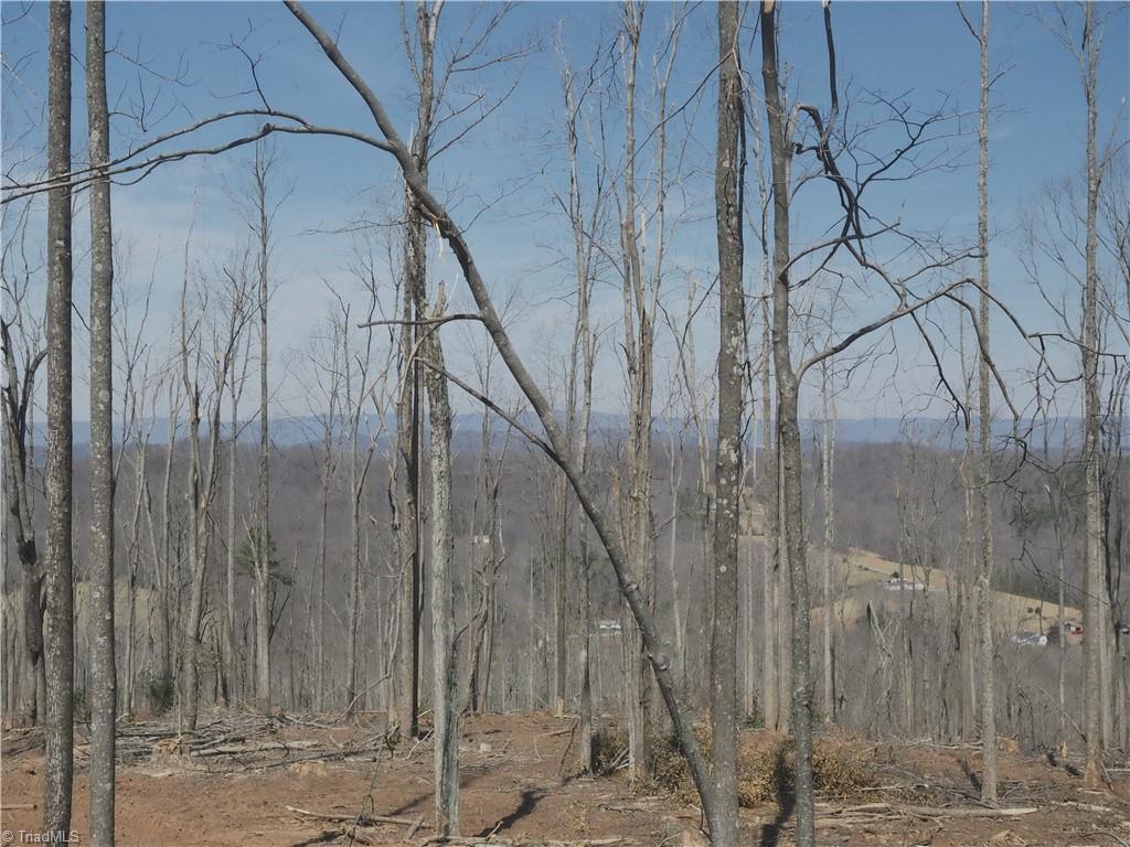 59 Cook School Road Pilot Mountain, NC 27041 - Photo 5 of 15 Gallery Image 5