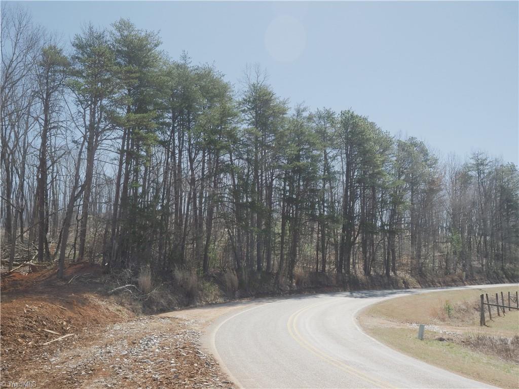 59 Cook School Road Pilot Mountain, NC 27041 - Photo 7 of 15 Gallery Image 7