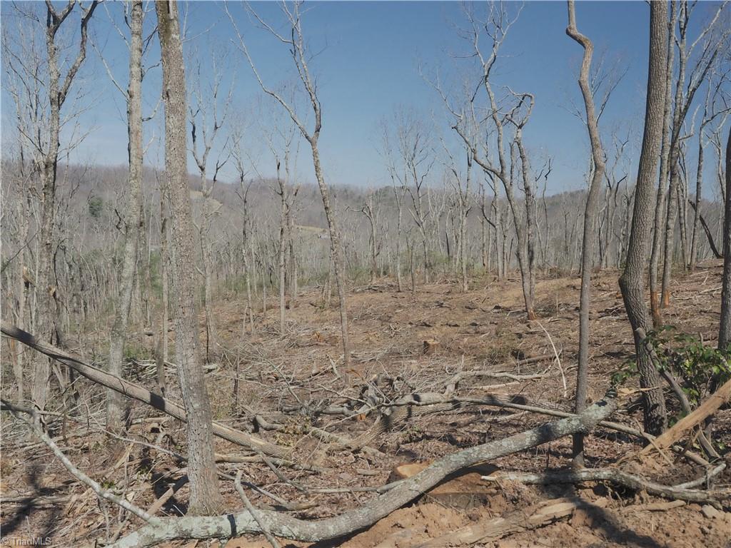 59 Cook School Road Pilot Mountain, NC 27041 - Photo 10 of 15 Gallery Image 10