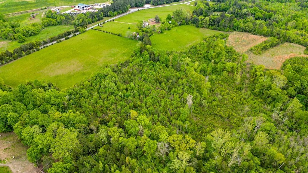 539 Landfill Road Baskerville, VA 23915 - Photo 12 of 38 The Upper Pasture
