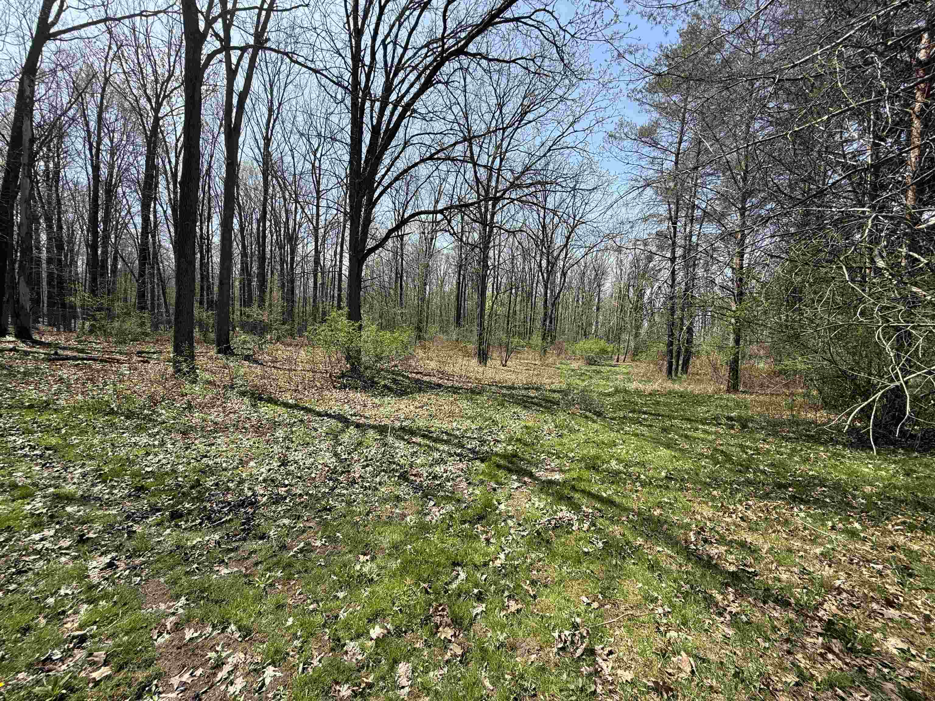 5235 Lahring Road Linden, MI 48451 - Photo 41 of 42