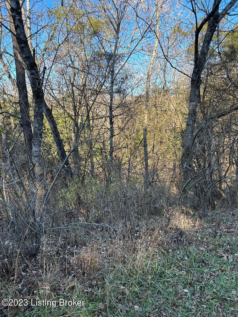 2650 Cedarmore Road Bagdad, KY 40003 - Photo 10 of 13 View