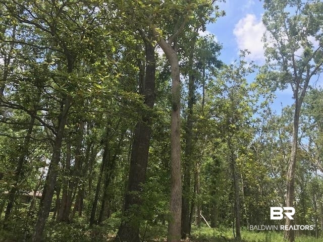 13911 County Road 49 South Foley, AL 36535 - Photo 4 of 4