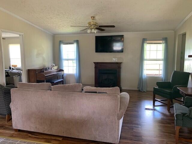 636 Treasure Place Windsor, SC 29856 - Photo 7 of 11