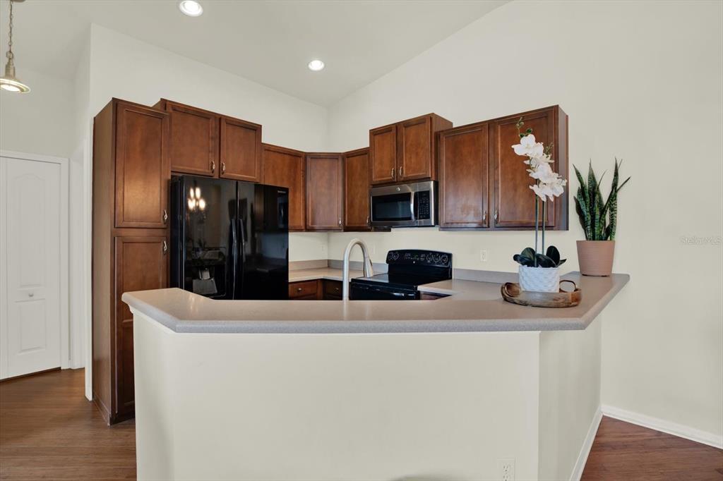 8919 Moonlit Meadows Loop Riverview, FL 33578 - Photo 8 of 41