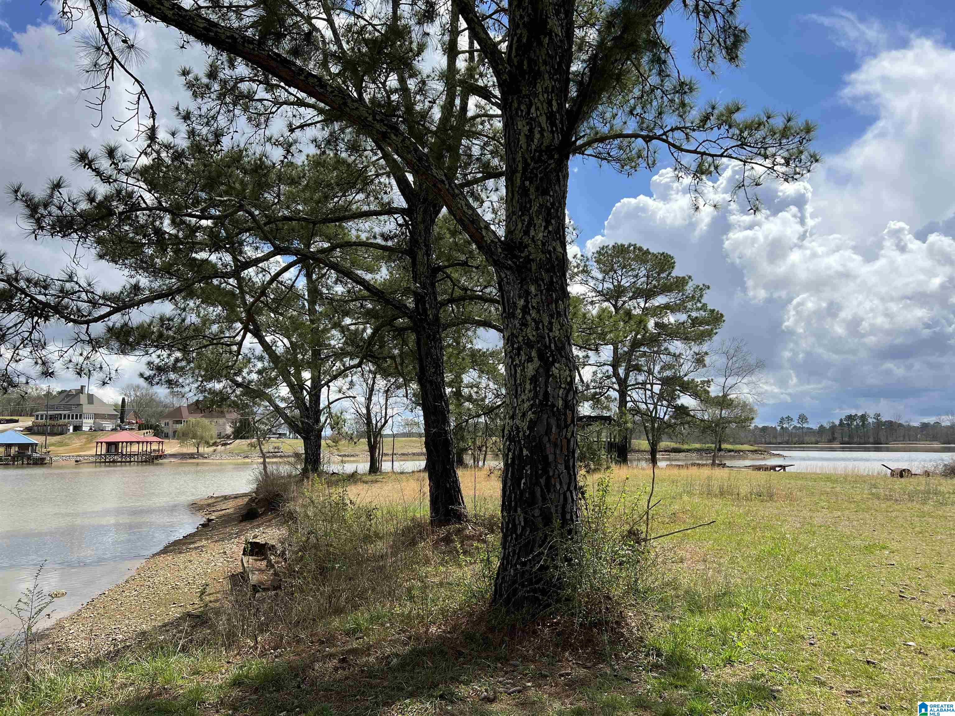 Stewart Road, Unit 8 Riverside, AL 35135 - Photo 6 of 7