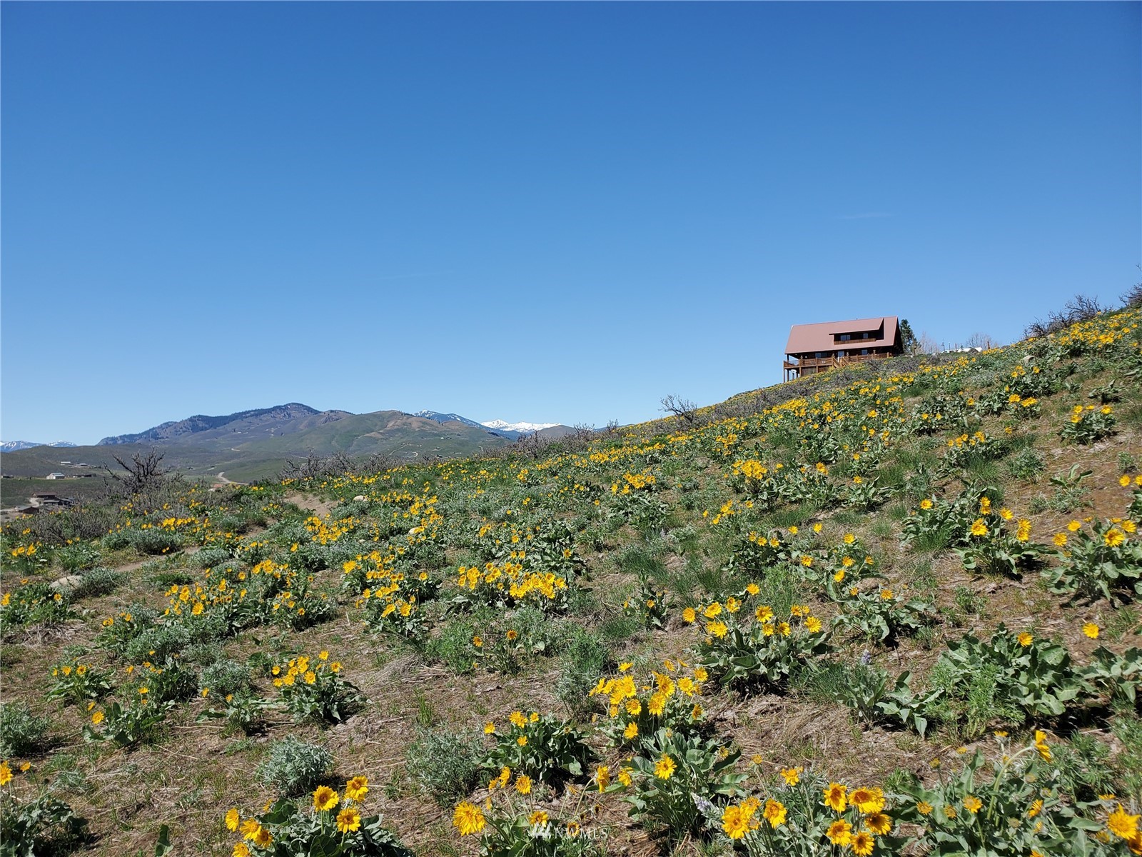 20 Pony Road Winthrop, WA 98862 - Photo 5 of 40 a view of a large building with mountains in the background